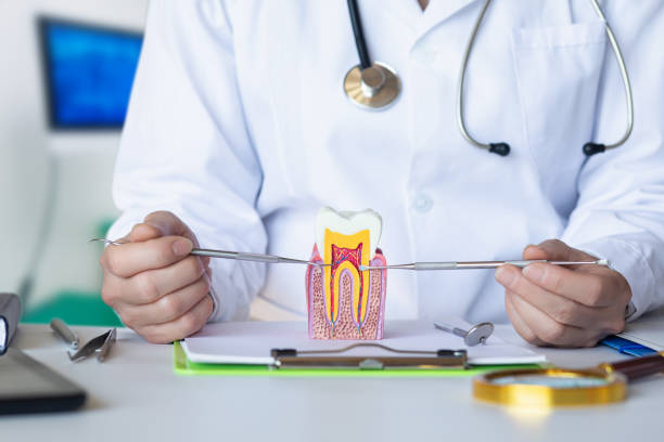 Best Urgent Dental Care for Toothache in Steiner Ranch, TX